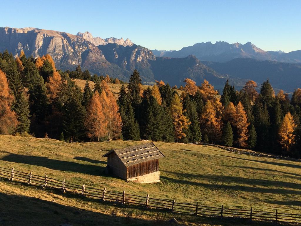 Sonnhof Daire Trodena Dış mekan fotoğraf