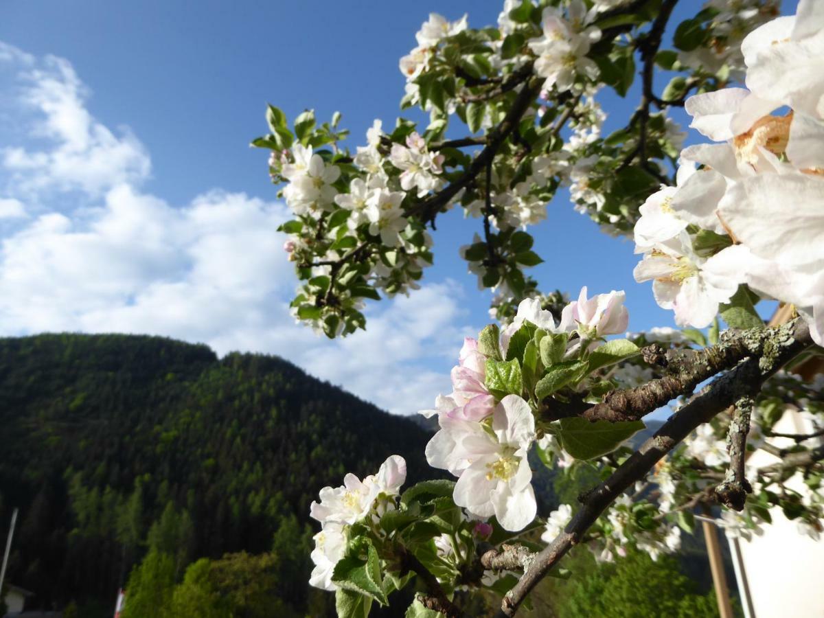 Sonnhof Daire Trodena Dış mekan fotoğraf